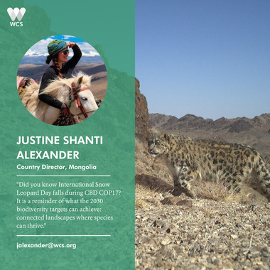 WCS CBD COP17 Quote Cards - Justine Alexander